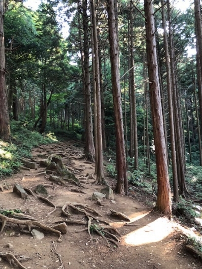 山へ行くこと