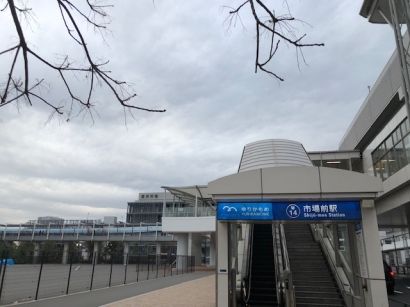 豊洲市場